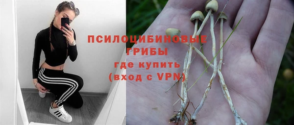 крисы Богородск