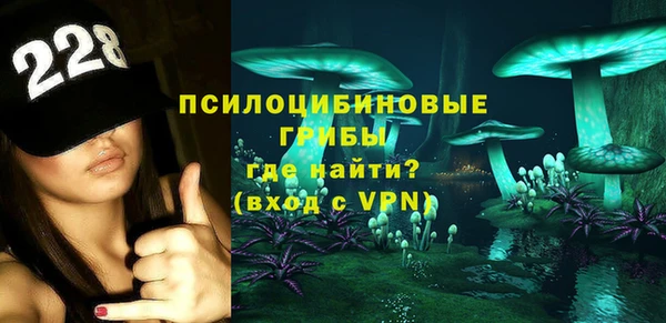 PSILOCYBIN Богородицк