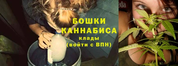 мет Белокуриха