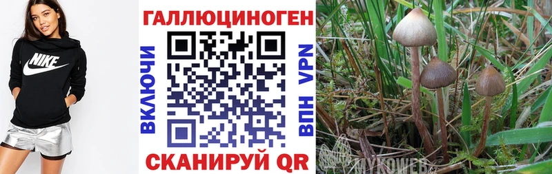 купить наркоту Краснослободск Галлюциногенные грибы прущие грибы